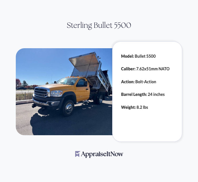 Facts of a Sterling Bullet 5500