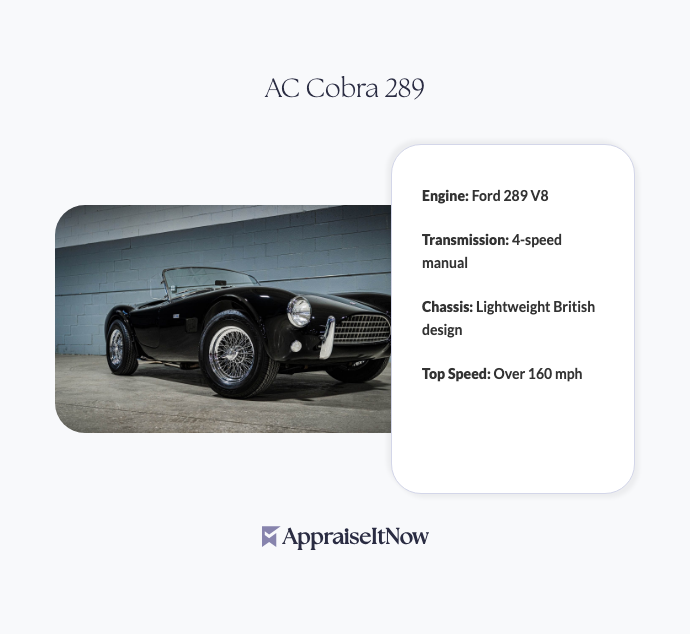 Facts of an AC Cobra 289