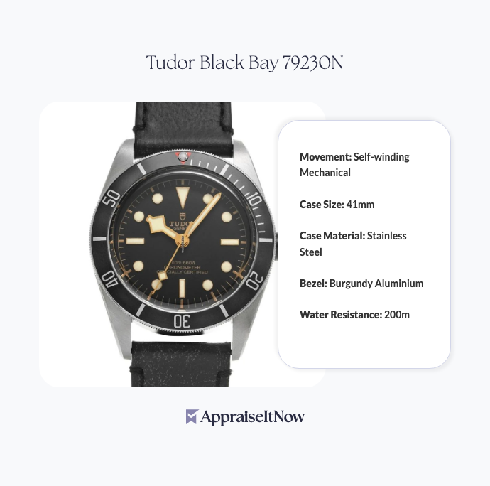 Facts of a Tudor Black Bay 79230N